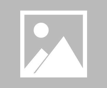 九游官网-动起来，拥抱健康生活|体育比赛|体育|赛事|轮滑|全民健身